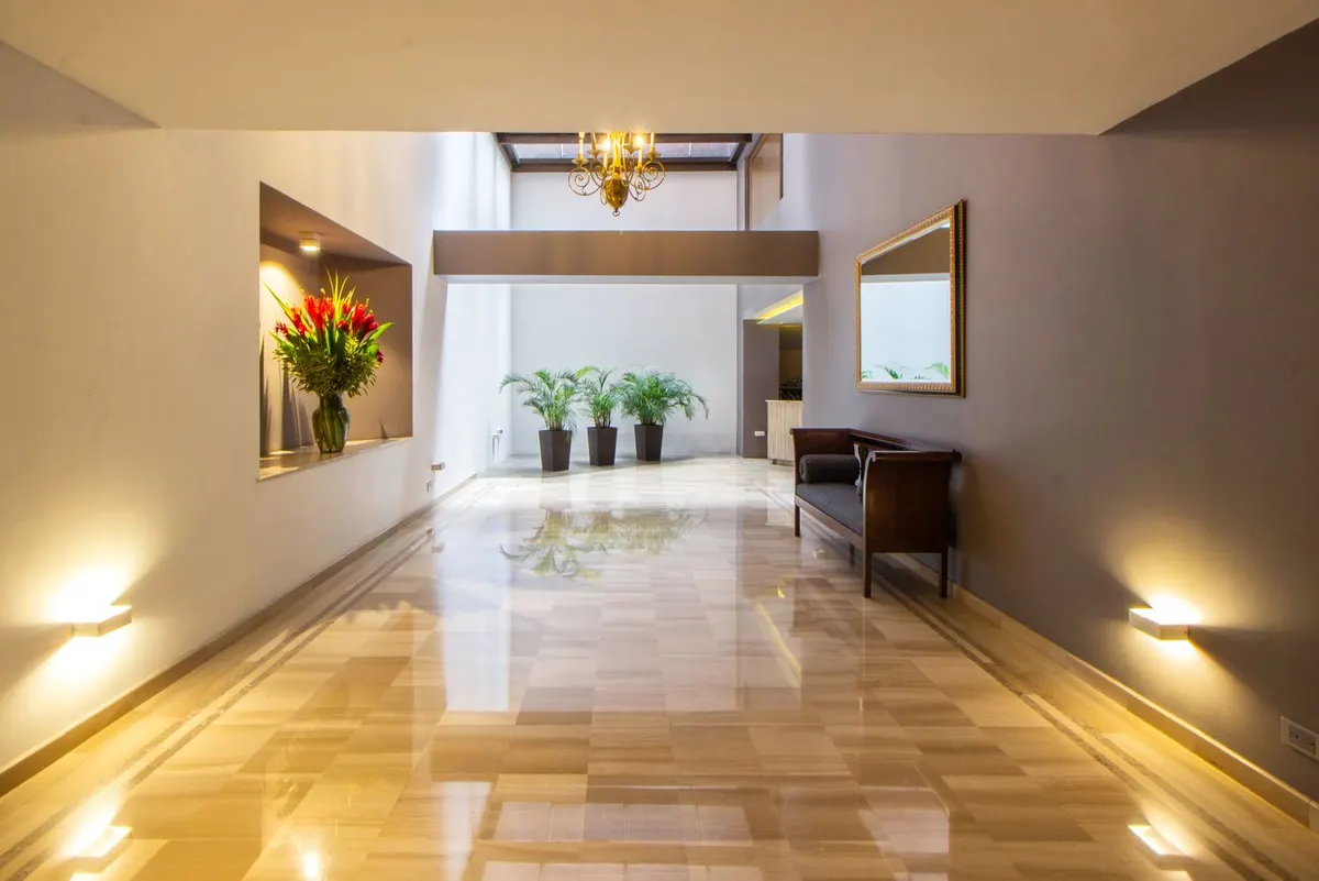 Entrada luminosa com pavimento cuidado e plantas decorativas